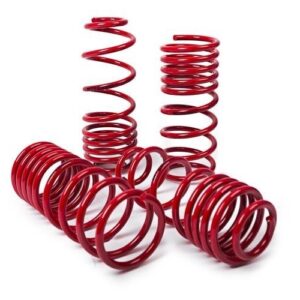 MTS Lowering Springs Skoda Laura – 1Z3