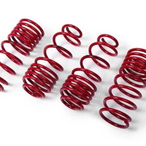 MTS Lowering Springs Volkswagen Vento – A05