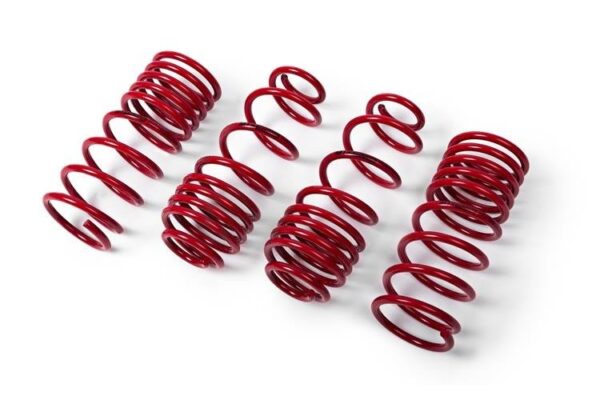 MTS Lowering Springs Volkswagen Vento – A05