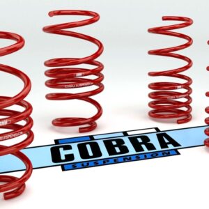 Cobra Lowering Springs Volkswagen Beetle – 5C1