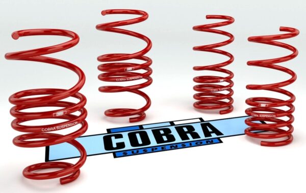 Cobra Lowering Springs Volkswagen Beetle – 5C1